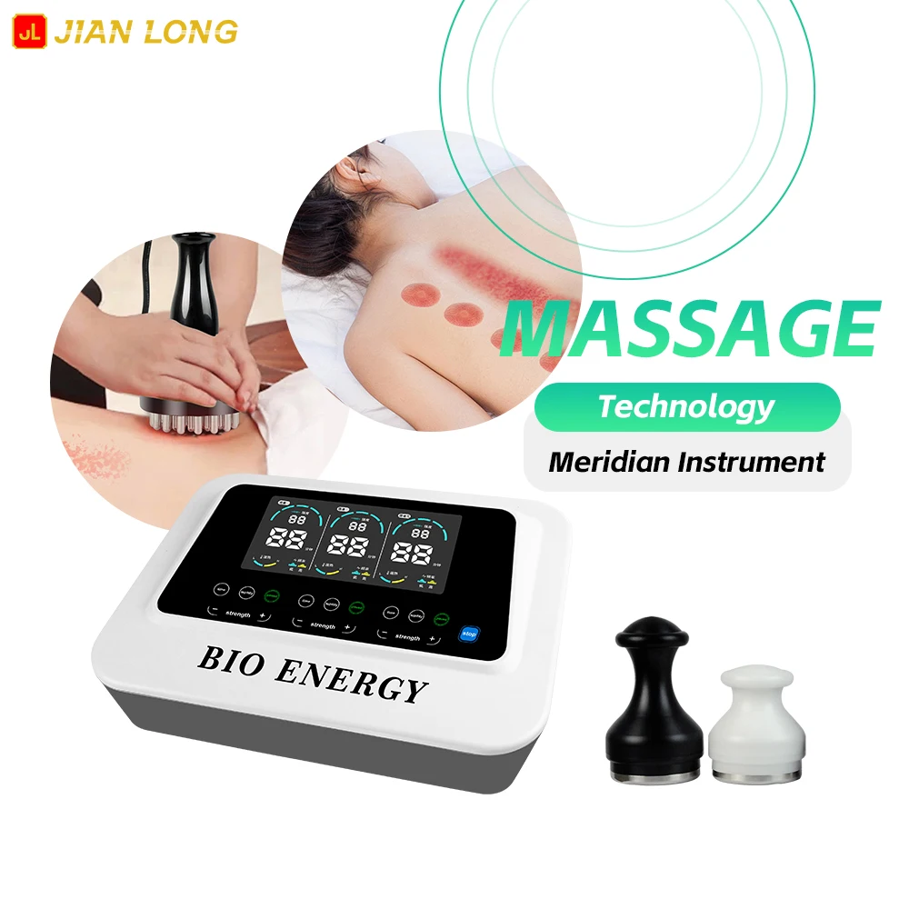 Meridian Master Health Care Instrument Dds Bio Electric Machine Bioelectric Therapy Massager Machine