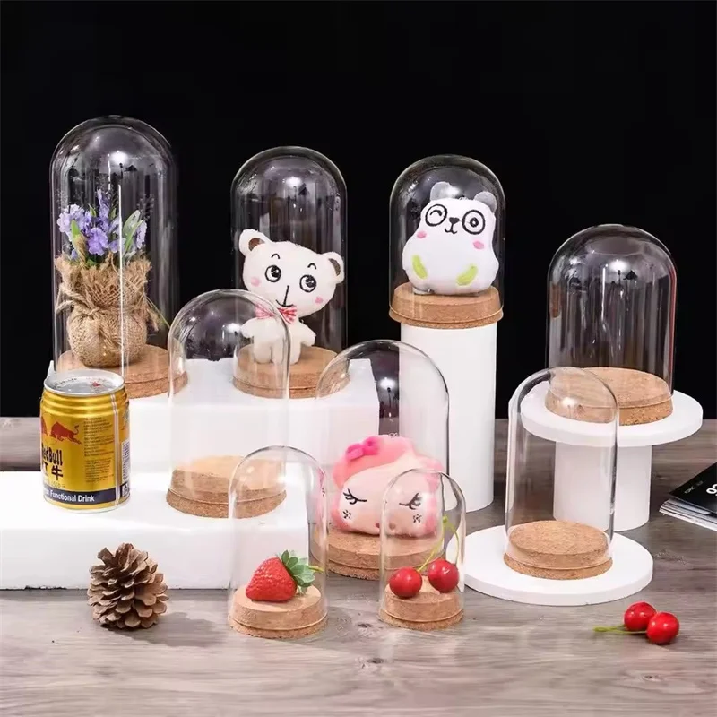 

60pcs D6 x H10cm Glass Dome with Wood Cork Base Contemporary Home Decor for Anniversary Art Deco Style