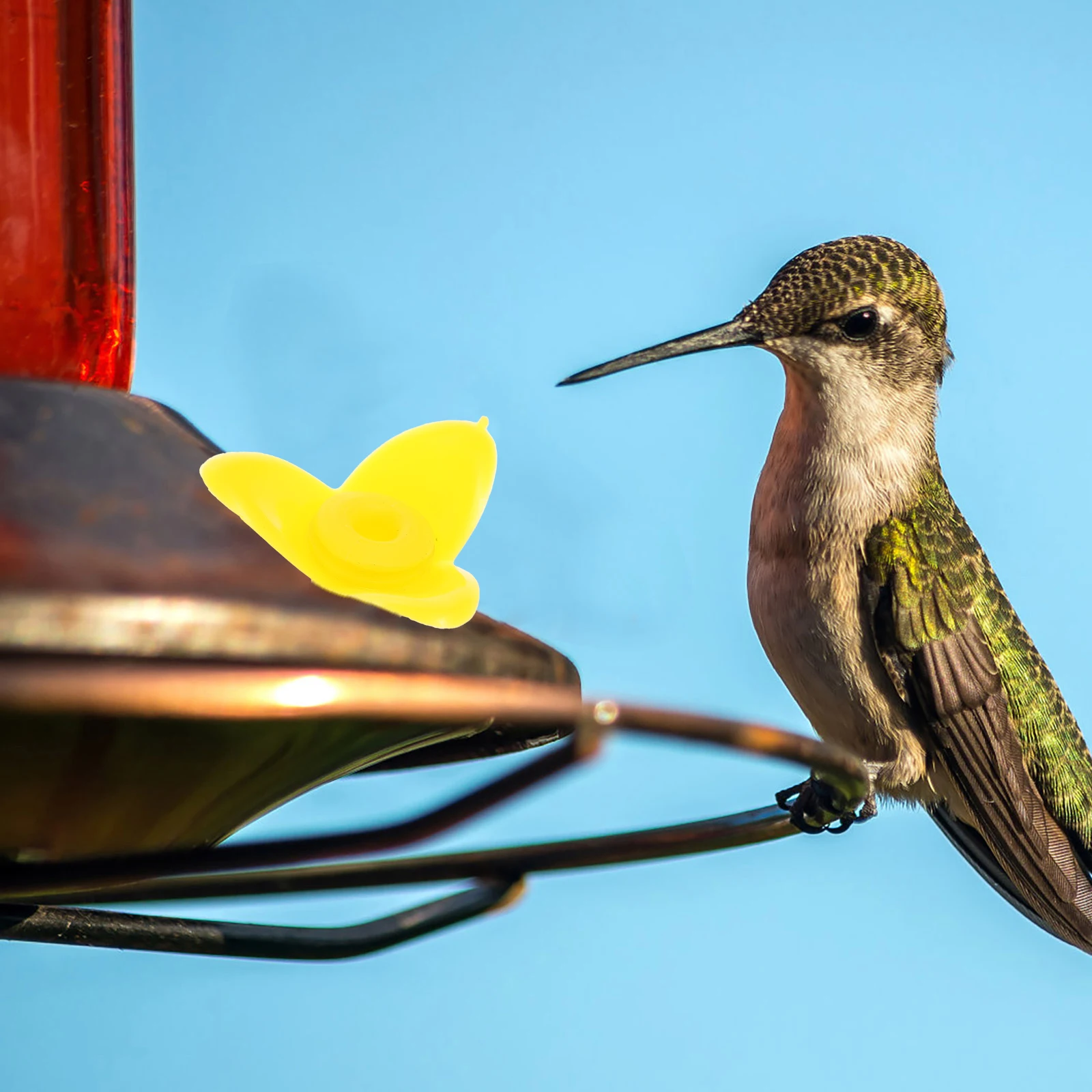 

12 Pcs Bird Feeder Flowers Hummingbird Parts Feeding Supplies Replacement Feeders Durable Practical Water Bottles Pet