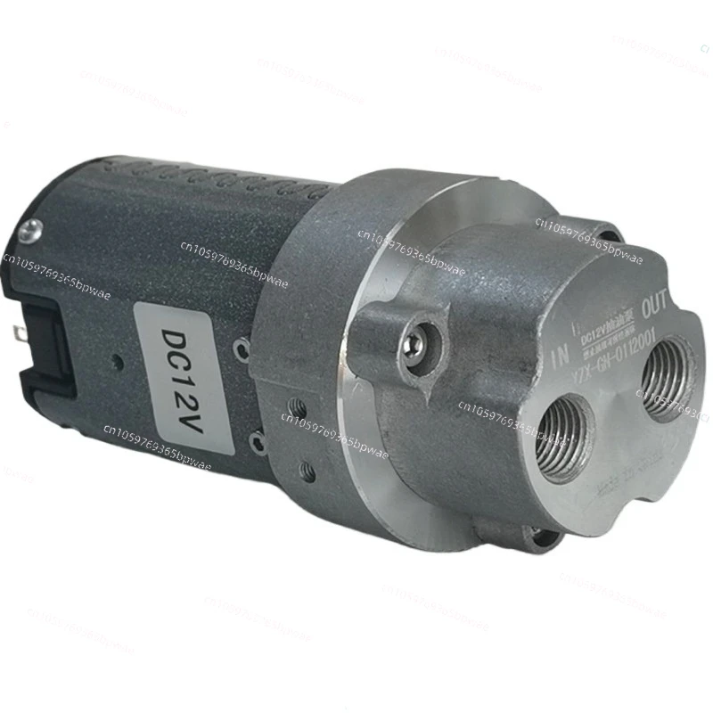 Diesel Fuel Transfer Gear Pump, 12V Low Noise Electric Pump for Vehicle Maintenance
