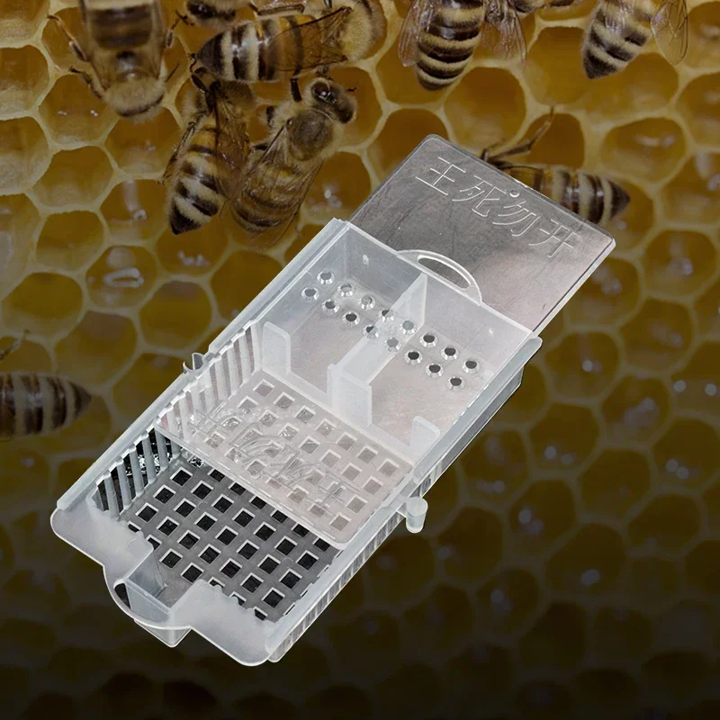 

Beekeeping Transport Cage Prisoner Box Bees Queen Post Room Cages Transparent Push-pull Queen Bee Cage Queen Bee Shipping Cage