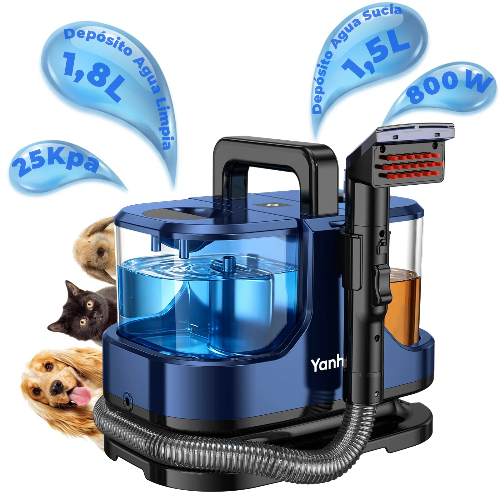 Limpiador de Alfombras Portátil Yanhama R13, 800W, 25Kpa, con Cable, para Limpieza de Manchas, Manguera de 1.1m, para Limpieza en Húmedo de Telas, Sofás y Autos