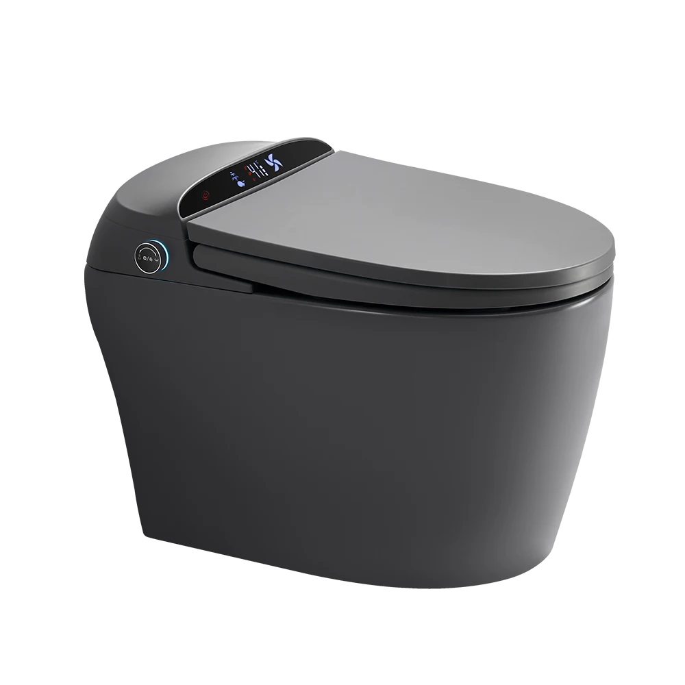 

Aodi Automatic Flush Remote Control Matte Gray Elongated One Piece Smart Toilet