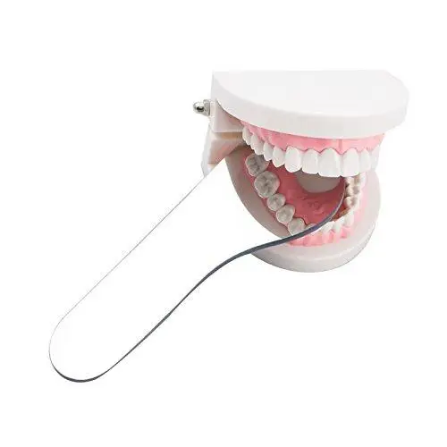 

Orthodontic Oral Mirror Dental Glass Mirror in Set 5pcs/set Without Box