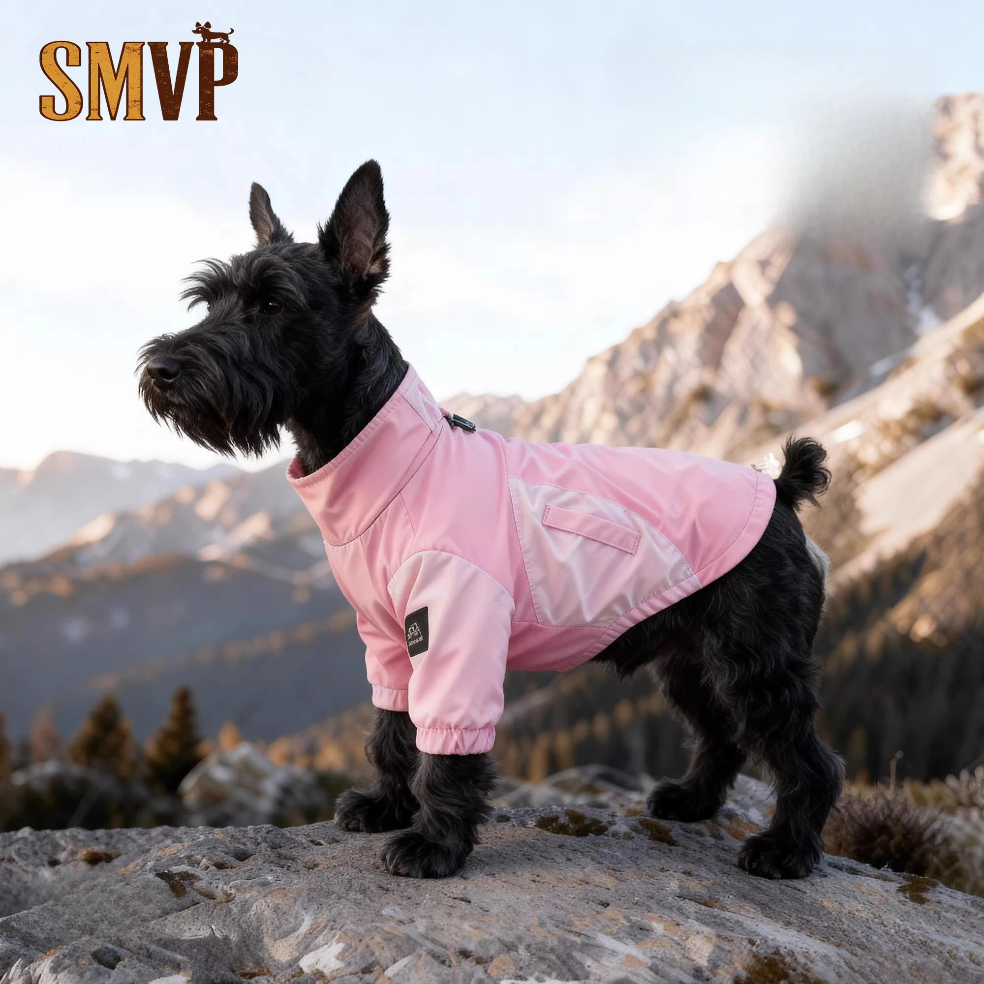 

Summer Breathable Dopamine Color Scheme Waterproof and Anti Dirty Going Out Jacket Style Small Dog Clothes Designer Dog Clothes