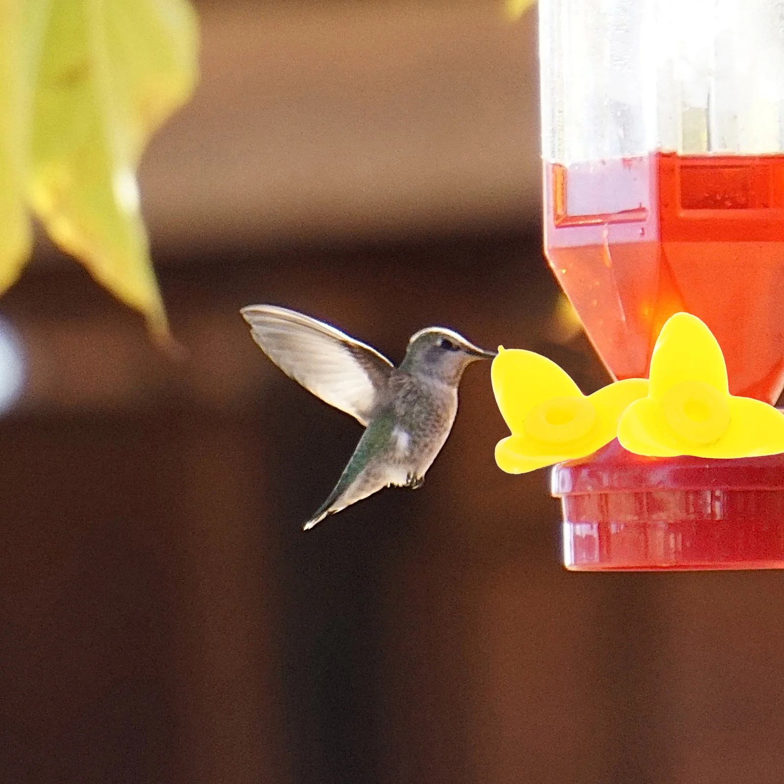 

12Pcs Bird Feeder Flowers Hummingbird Feeder Replacement Durable Plastic Feeding Ports Outdoor Bird Feeding Supplies