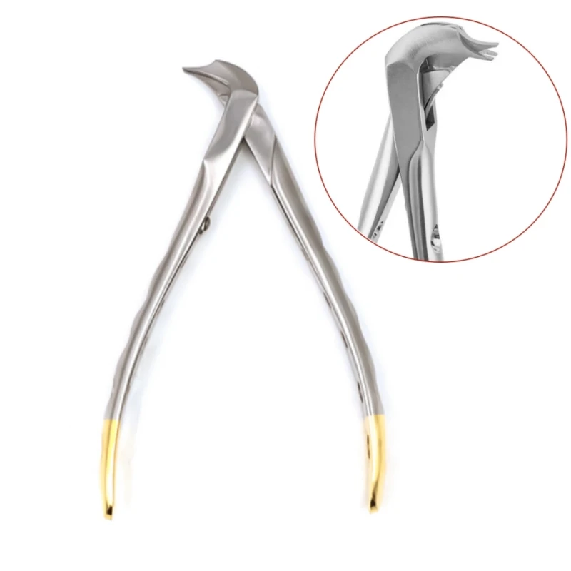 

Dental Crown Spreader Forcep Tooth Crown Remover Plier Stainless Steel Autoclavable Beak Forcep for Removing Teeth Crown