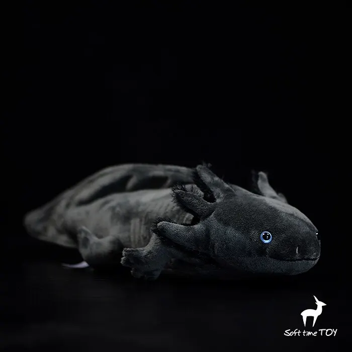 Ambystoma mexicanum Knickknack,nicknack,Small ornaments and miniature models