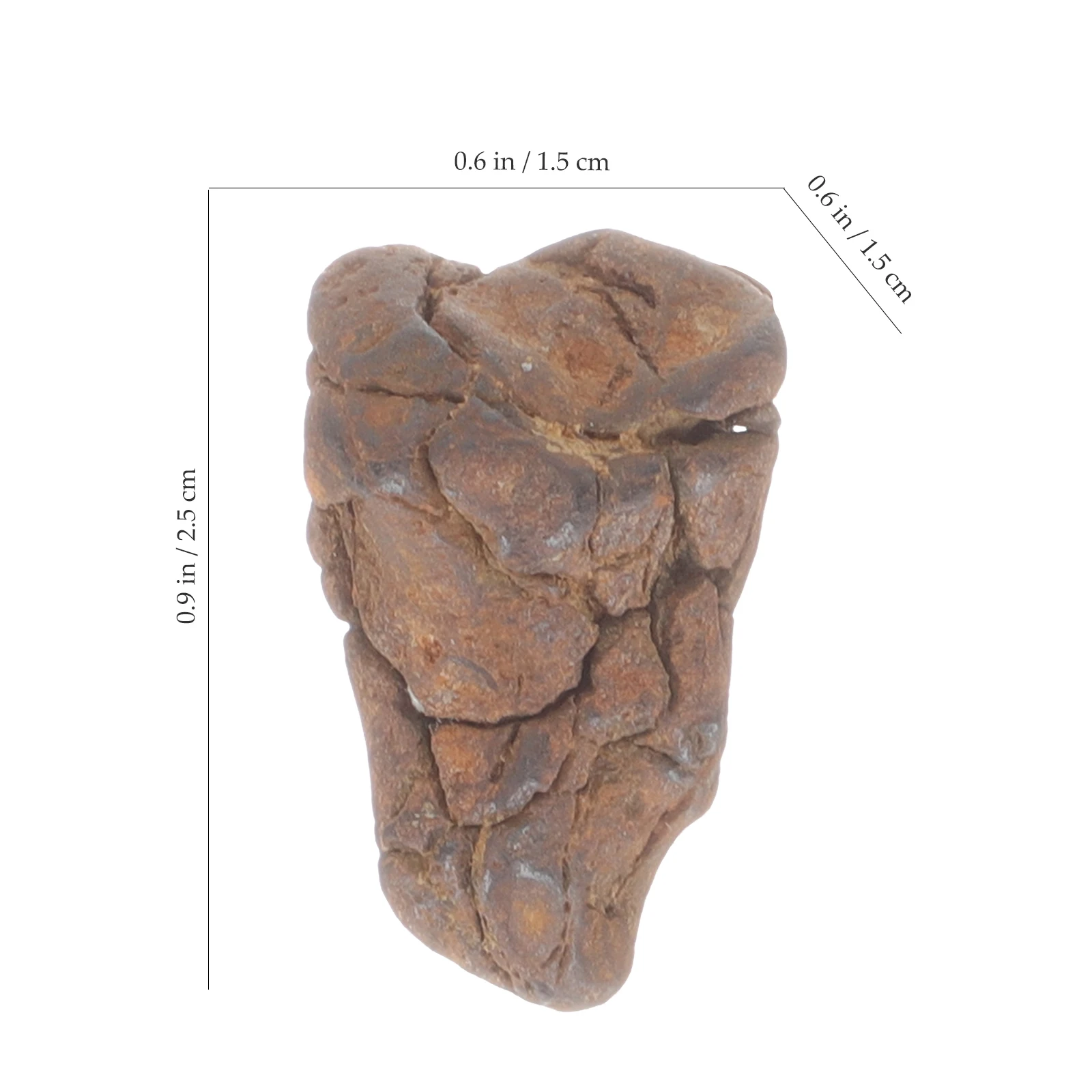 

Educational Plaything Meteorite Science Sample Decoration Rocks Table for Students Child