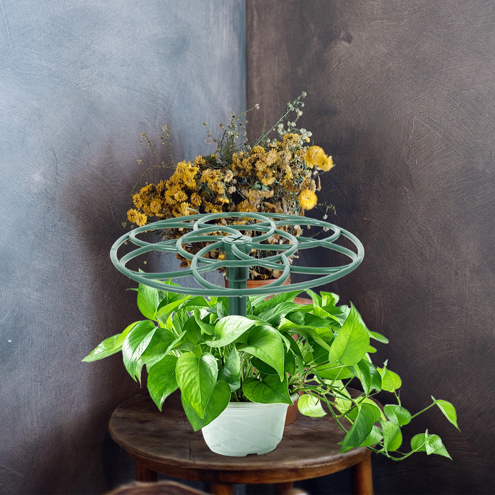 

2PCS Sunflower Flower Rack 23CM 28CM Green Plants Support Gardening Climbing Vine Lollipop Shape Multi Layer