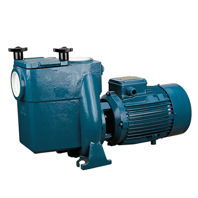 

CALPEDA Electric Pool Pumps for Swimming Pools
