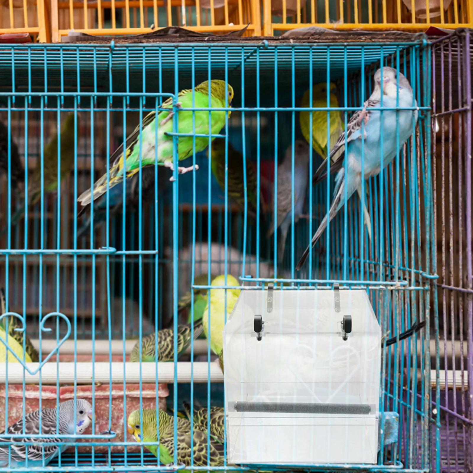 

Birds Parrot Food Bowls for Cage Supplies Automatic Feeder Large Pet Feeding Dish No-spill