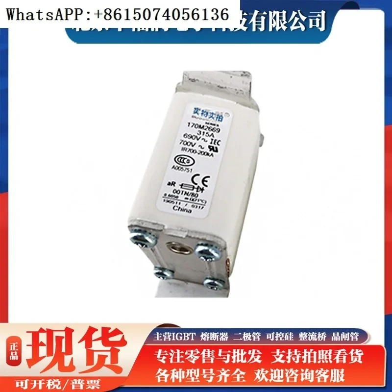 

170M2669 High Voltage Fuse Base New Electronic Components