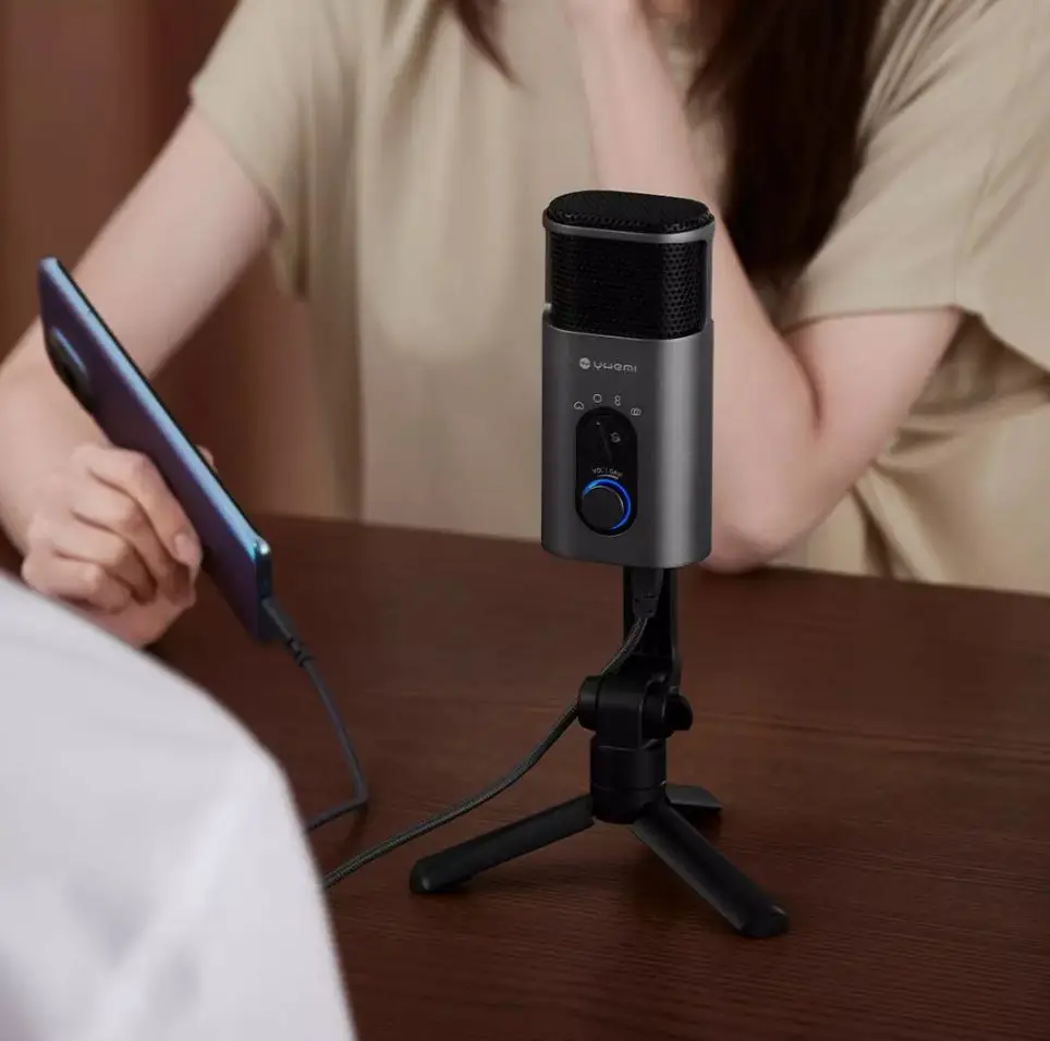 NEW Yuemi Karaoke Microphone