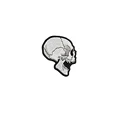 side view skull