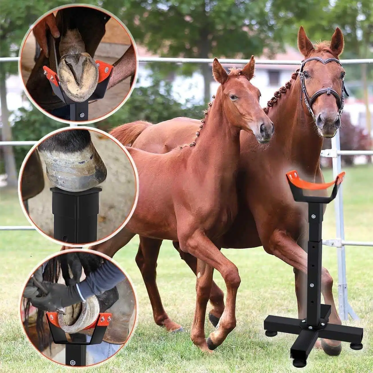 Farrier Work Stand, Horse Hoof Support Lift, Hoof Trimming Tool Kit for Equestrian Maintenance Use
