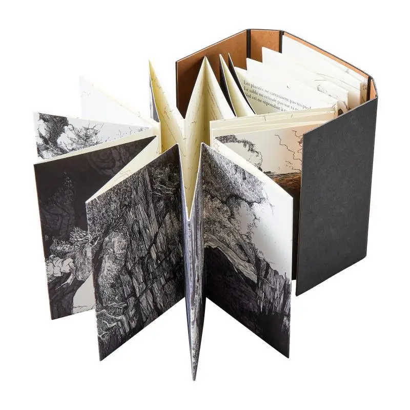 أسطورة Taaroa Cosmogonic من Larchipel of Society بولينيزيا الفرنسية Anouck Faure Editions Apeiron 9782919440832 كتاب #3