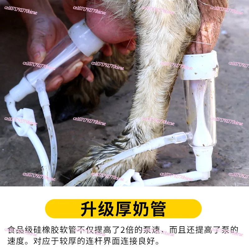 آلة الحلب الكهربائية المضيف بطانة دلو البقرة والأغنام الملحقات نابض البقرة والأغنام بطانة 3L5 لتر 10L دلو #4