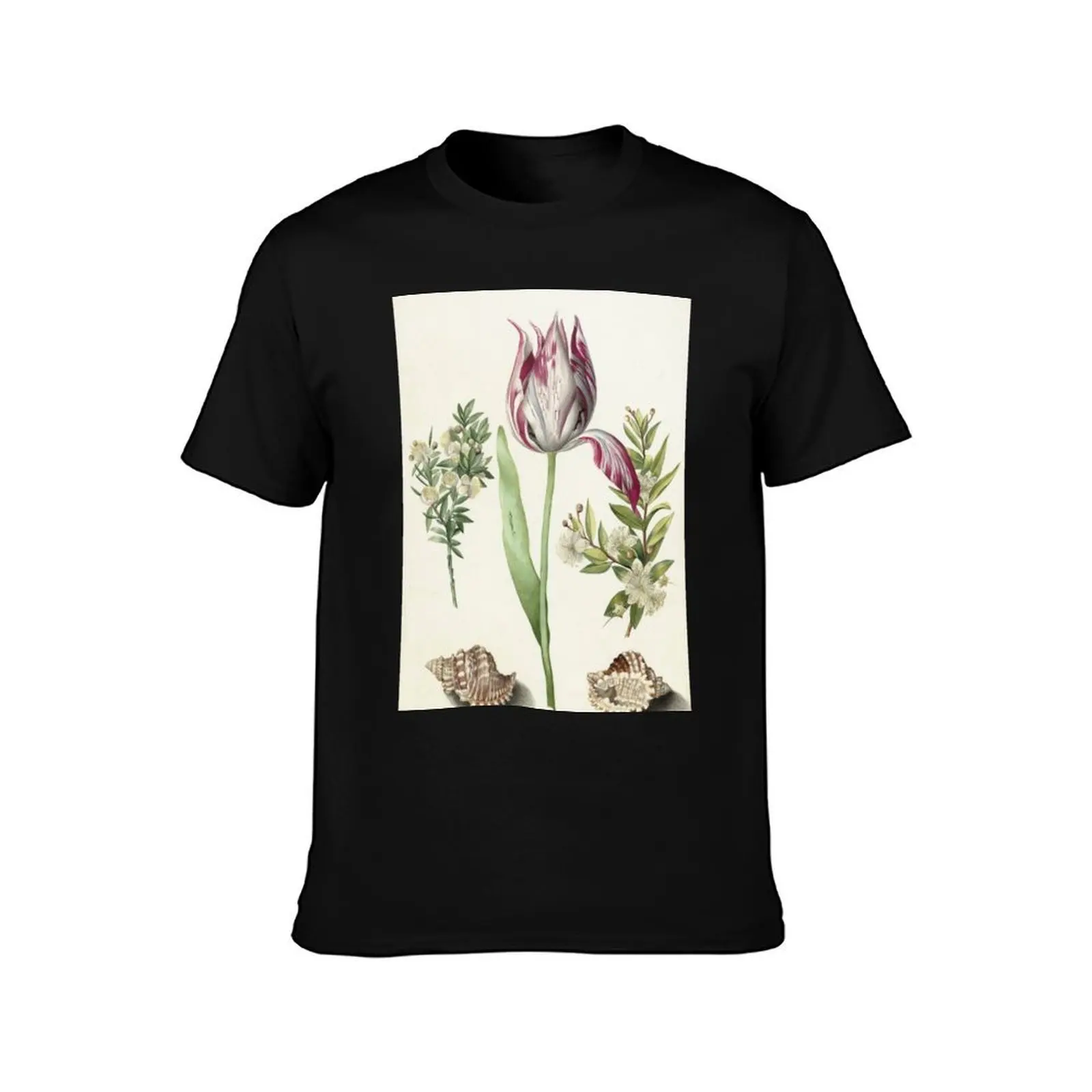 Tulip, two Branches of Myrtle and two Shells Maria Sibylla Merian c. 1700 T-Shirt, Summer Casual Cotton Tee, Unisex Men Women