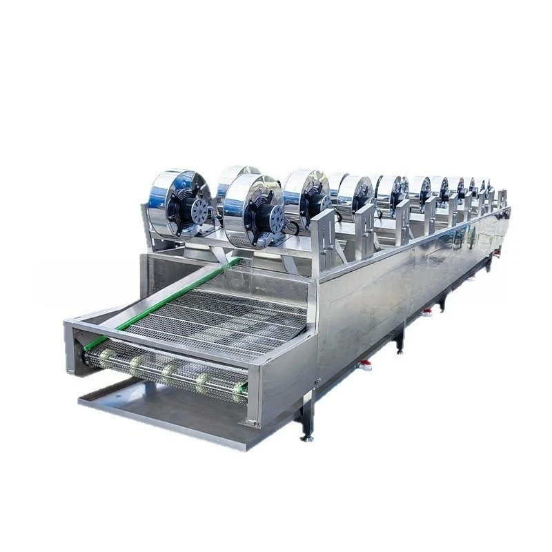 Stainless steel mesh belt air dryer, fruit and vegetable snack bag cleaning and air dryer