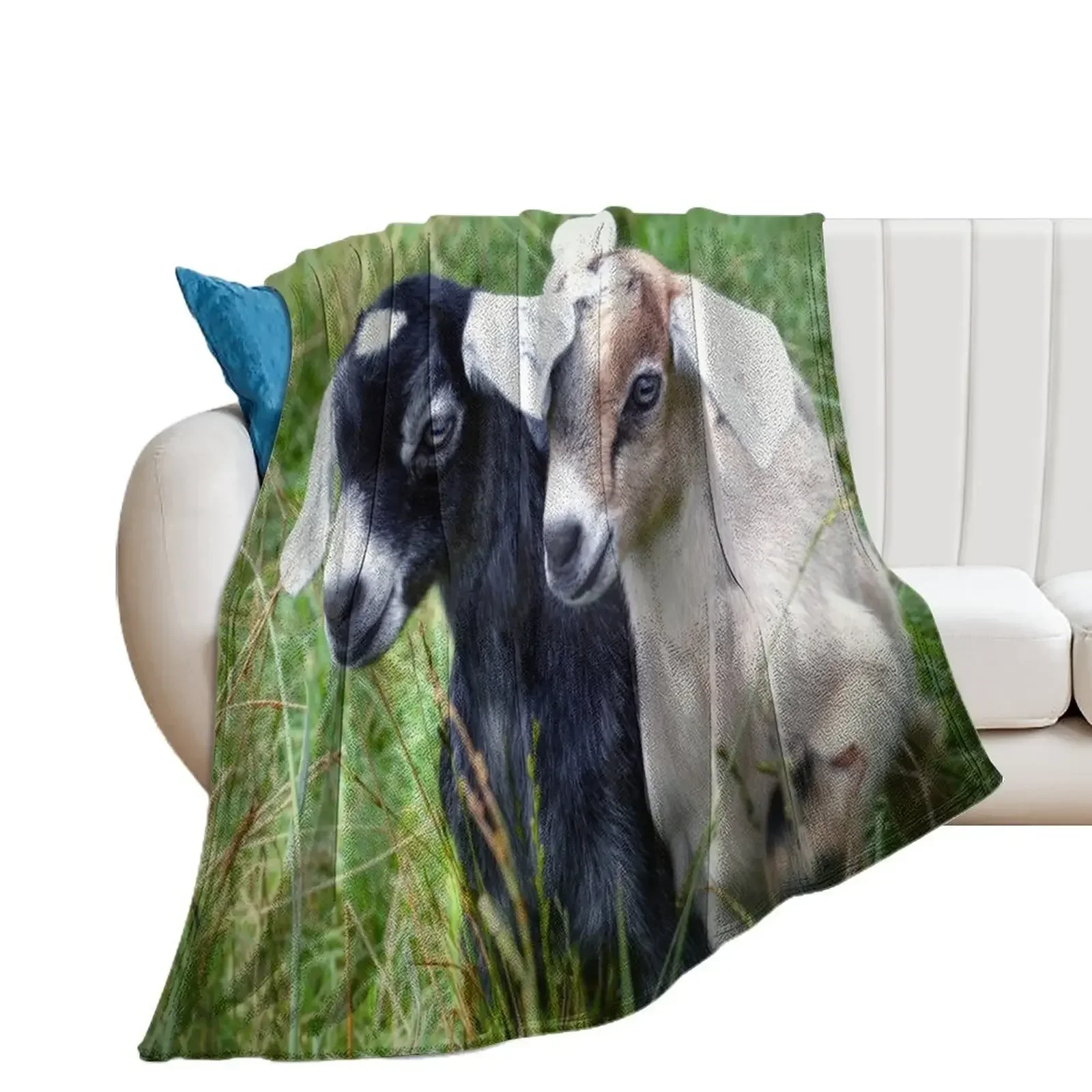 아기 염소 2 마리 던지기 담요, 여행용 느슨한 해변 담요, 소파 담요