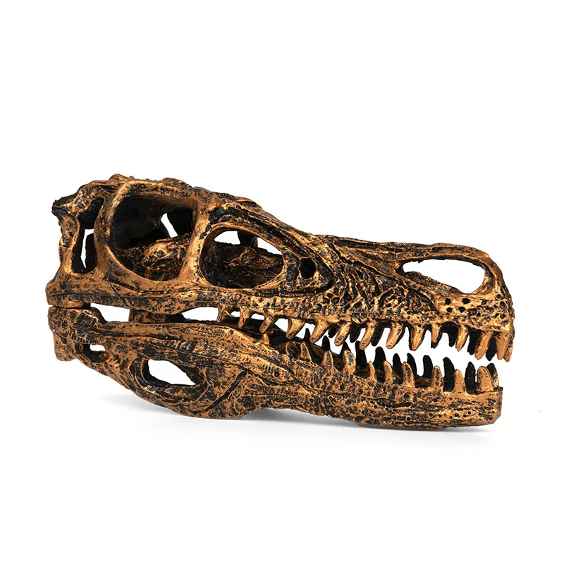 

Dinosaur Skull Head Ornament Resin Skull Velociraptor Skull Head Model Skeleton Research Reference Sample