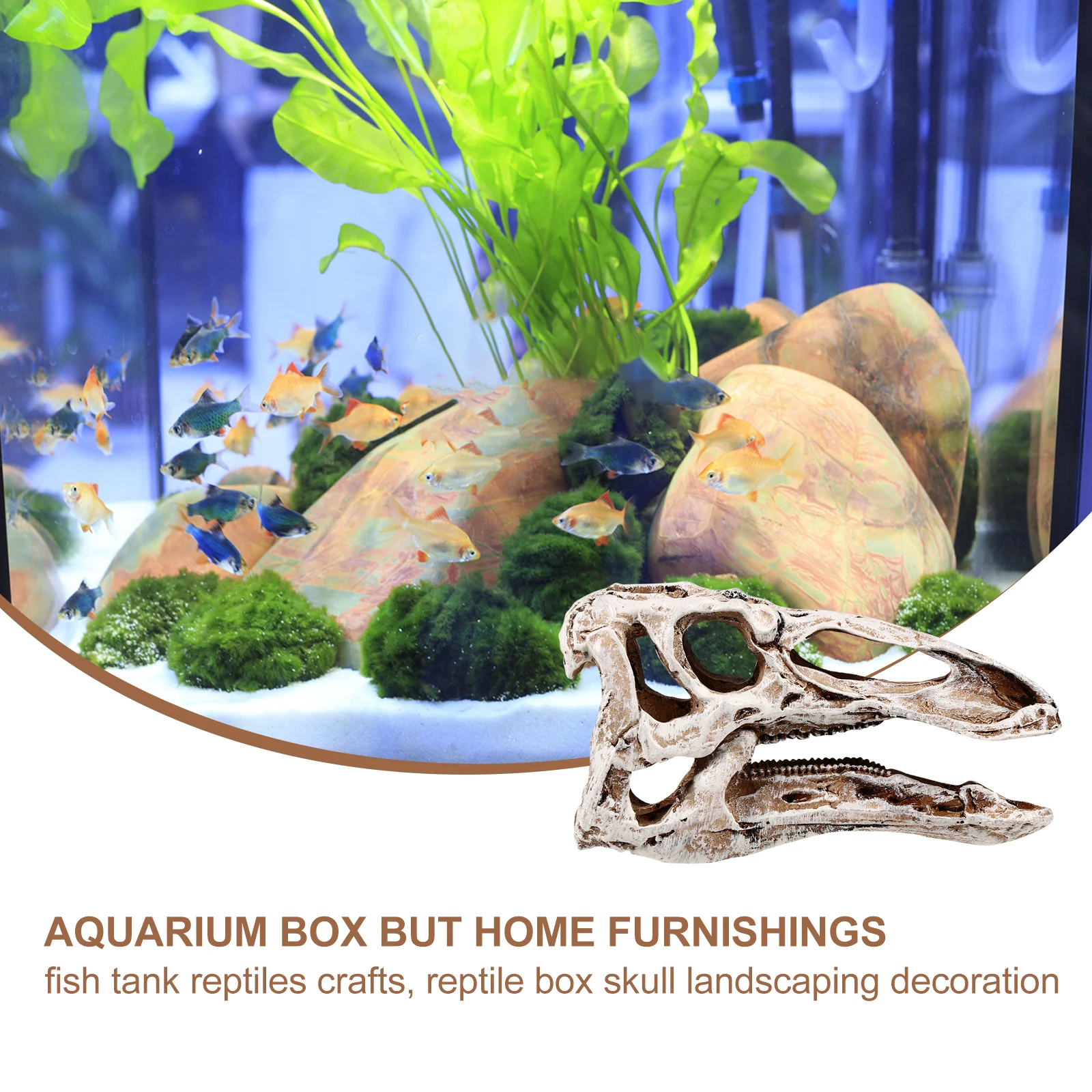 

2 PCS Skull Tank Ornament Resin Reptile Terrariums Adornment