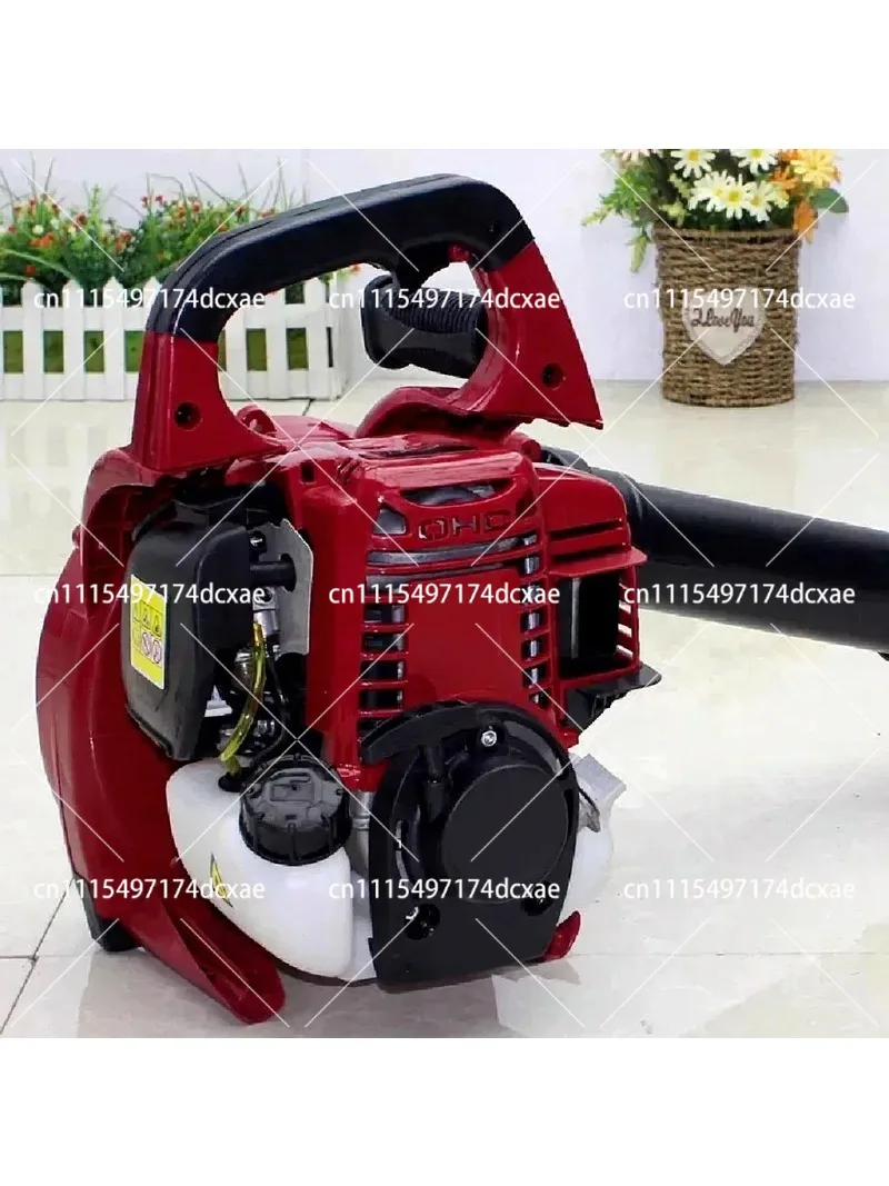 Portable 4-Stroke Backpack Leaf Blower, Multi-Function Dust Collector Snow Remover for Garden, Yard, Greenhouse Cleaning