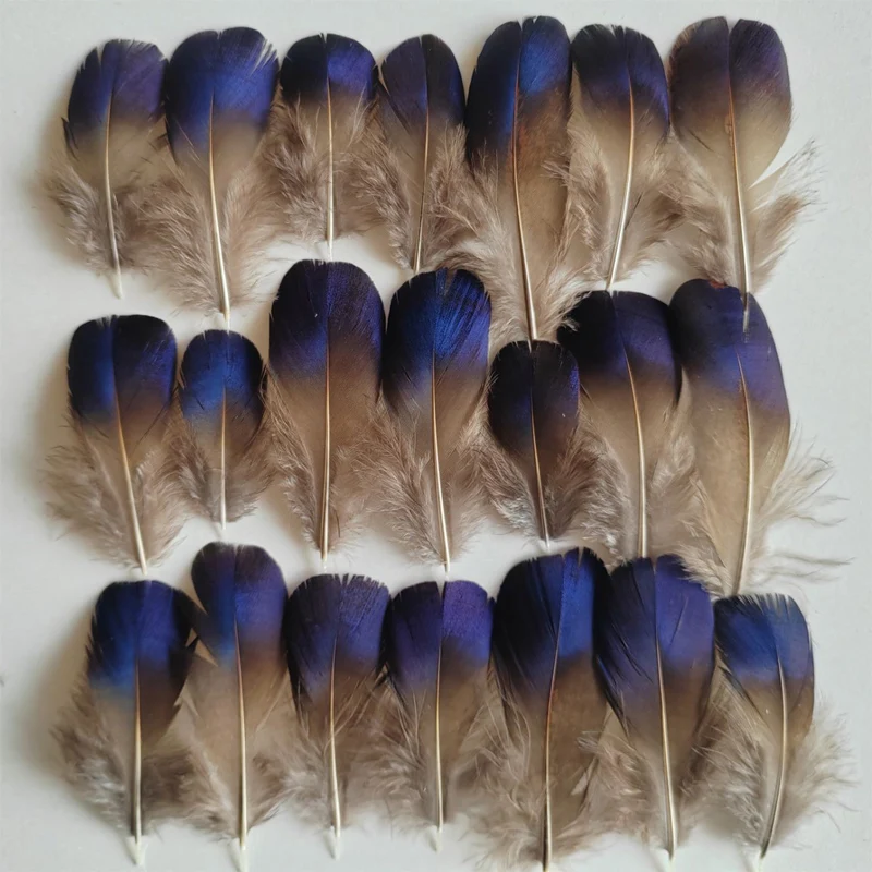 

Small Feathers! 100Pcs/lot! 4-10CM BLUE BRONZE Golden Pheasant Plumage feathers,Loose Golden Pheasant Feathers