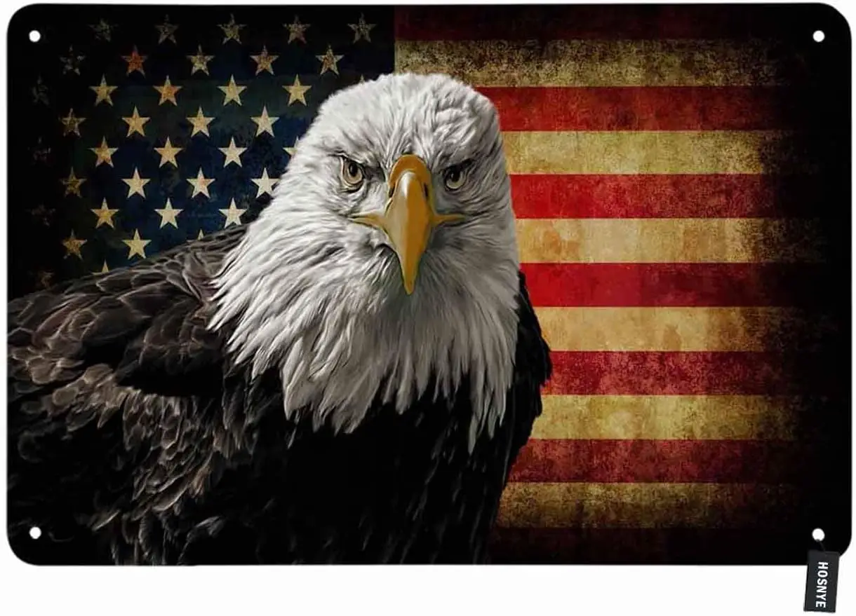 HOSNYE Bald Eagle on Grunge American Flag Tin Sign Vintage Metal Tin Signs for Men Women Wall Art Decor for Home Bars Clubs C