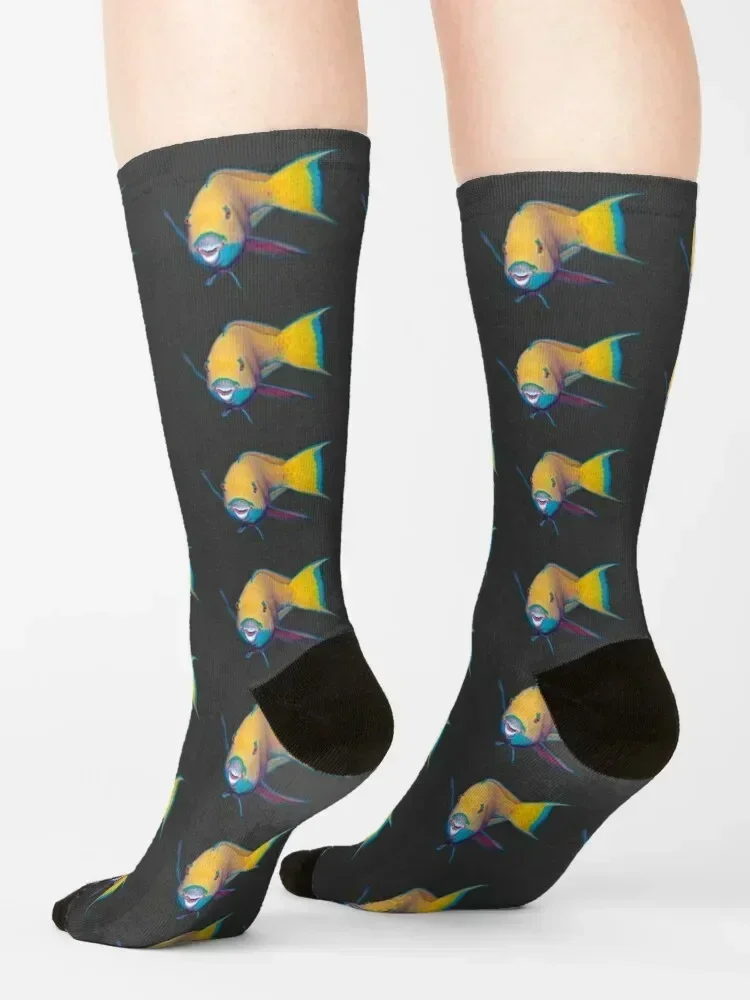 Parrotfish | What a striking make-up! | Socks Wholesale christmass gift anime heated Man Socks Women's