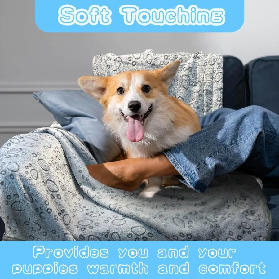 عبوة واحدة مكونة من 3 بطانيات للكلاب من الفلانيل، بطانية ناعمة ورقيقة قابلة للغسل مع طباعة مخلب لطيفة مقاس 41 × 31 رمادي مثالية للفراش المريح