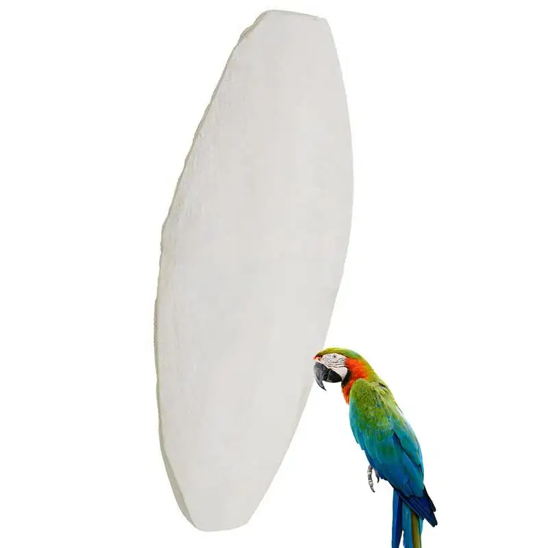 10pcs Cuttlefish Sepia Bone Parrot Chewing Cuttle Bone Bird Food Calcium Pickstone Parakeets Budgies Cockatiels Cuttlebone Toy