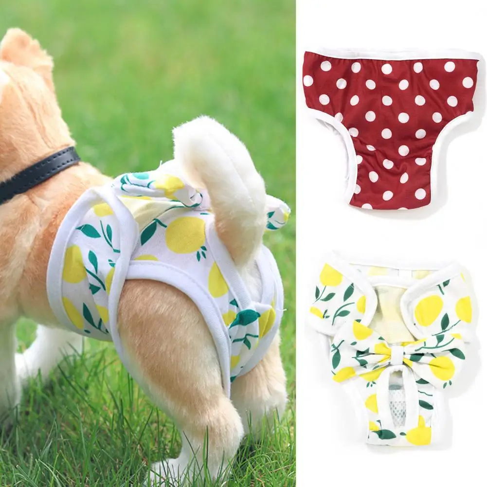 Cute Pet Physiological Menstrual Hygiene Pants Reusable Sanitary Doggie Diapers Washable Female Dog Shorts Underwear Briefs