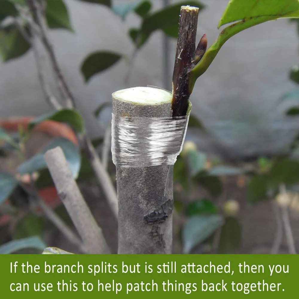 ABLU-6 Roll Self-Adhesive Nursery Stretchable Garden Flower Vegetable Grafting Tapes Fruit Tree Grafting Films Plants 3Cm