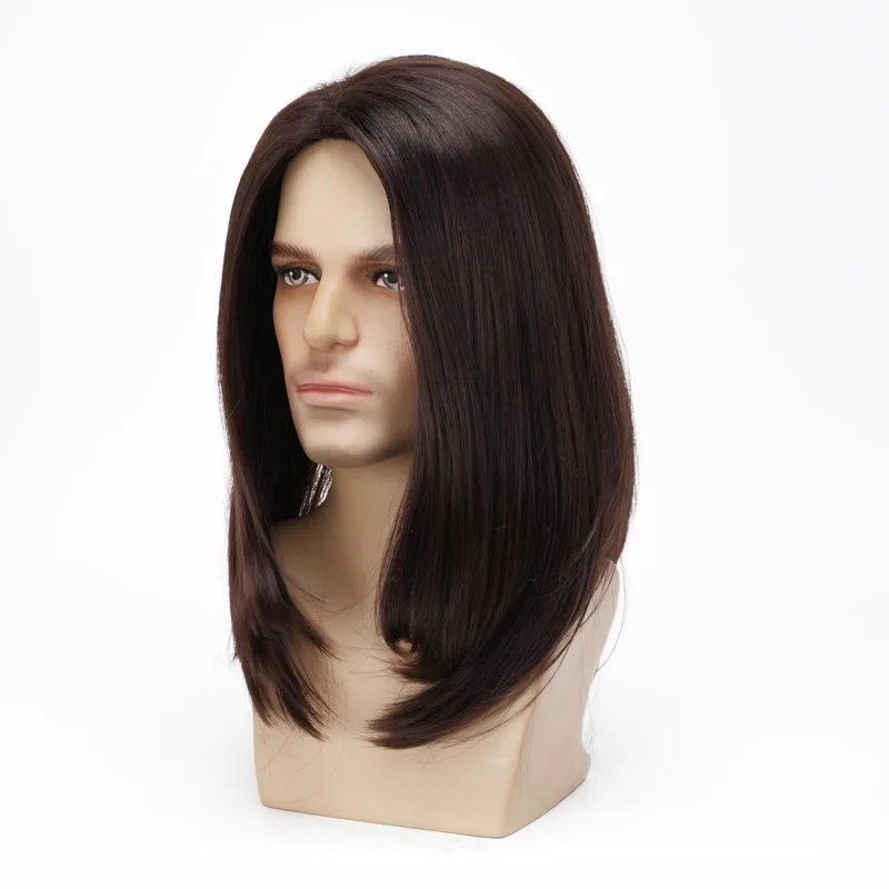 Mens Wig Long Straight Wig for Men Middle Part Synthetic Heat Resistant Hair Wigs for Daily Party Costume Halloween (Dark Brown)
