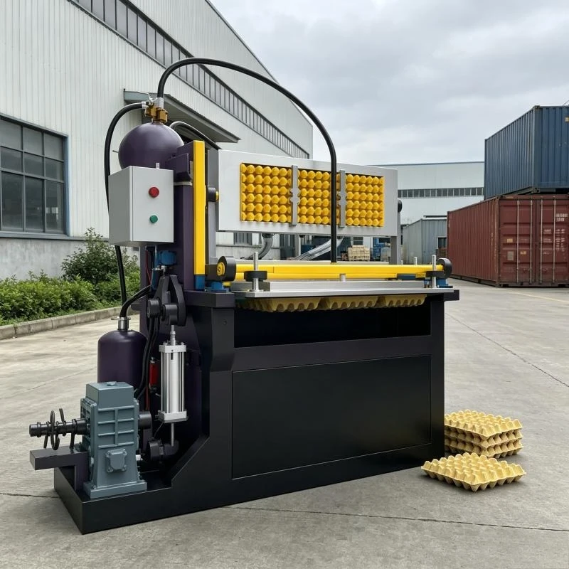 Starter Model YG-1000 Egg Tray Making Machine 1000pcs/h Automatic Paper Pulp Molding Equipment for Business