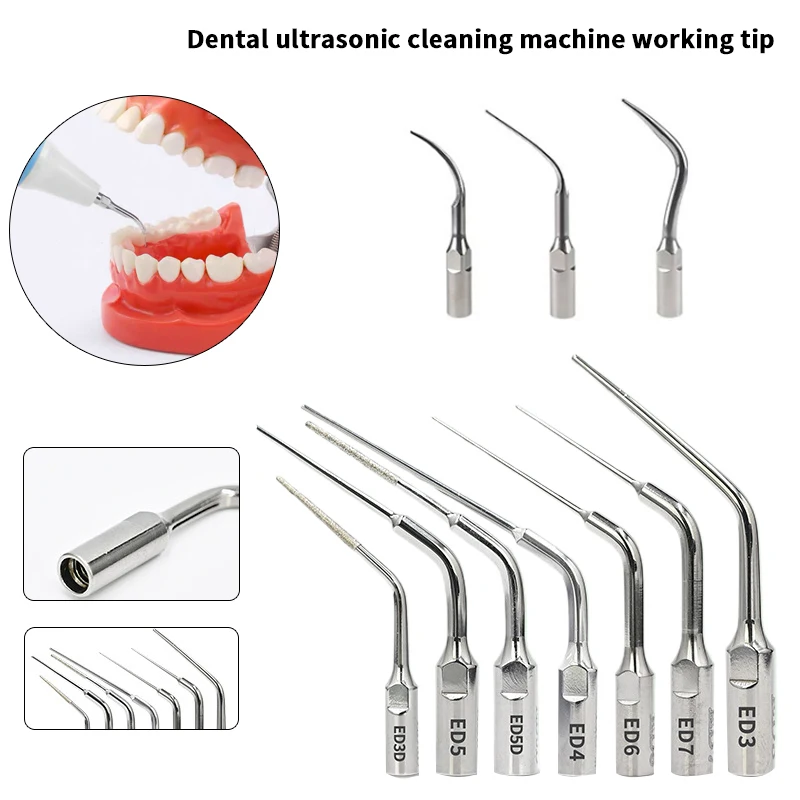 

【Dental Ultrasonic Perio Scaler Tips Dentist Instruments Dentist Tools Teeth Cleaning Root Canal Endodontics Dentistry Medical】