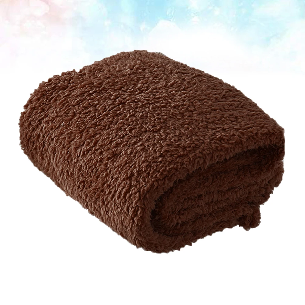 

Soft Carpet Cushion For Dogs Cats Sleep Mat Warm Winter Floor Carpet Lightweight Travel Mat Coffee Color