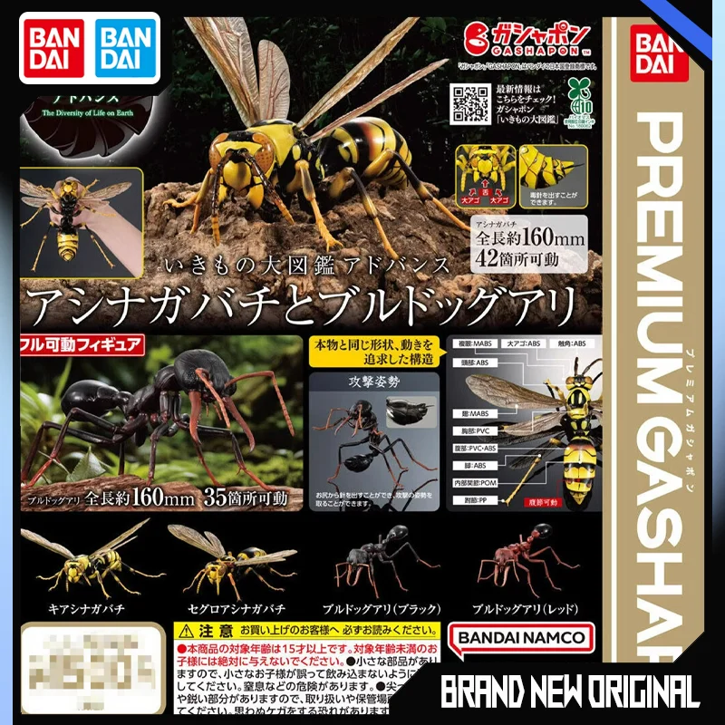 

Биологическая энциклопедия Bandai: Коллекционная фигурка-модель Polistinae Myrmecia Pilosula, оригинальный сувенир, в наличии, быстрая доставка
