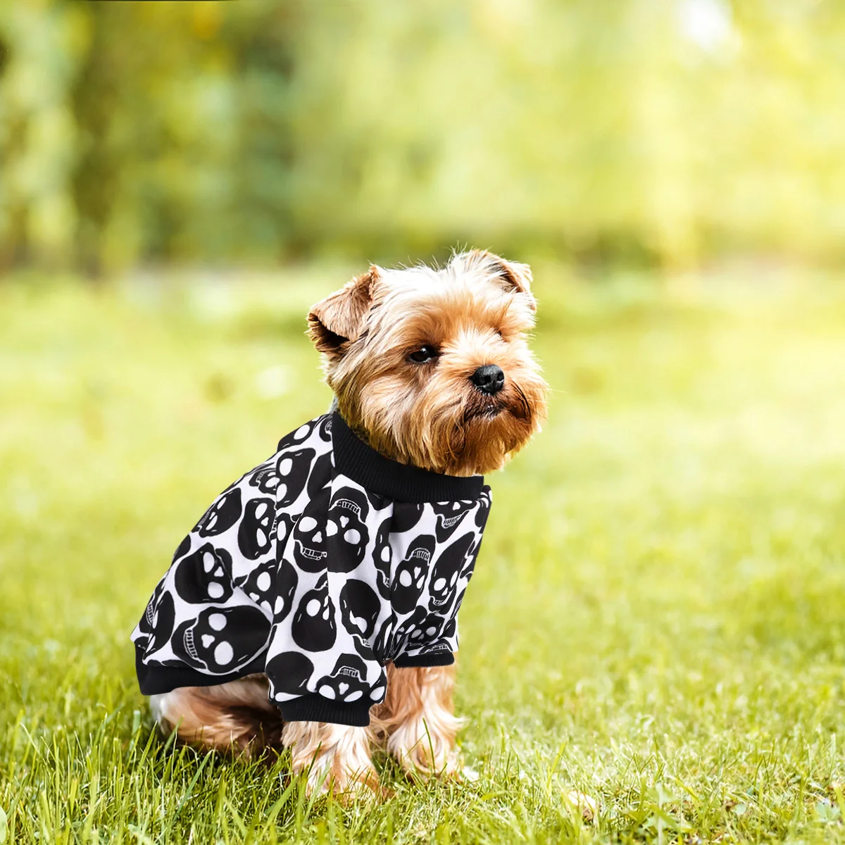 Pet Sweater Halloween Puppy Garment Dog Shirt Hoodie Funny Doggie Costumes Clothes Party