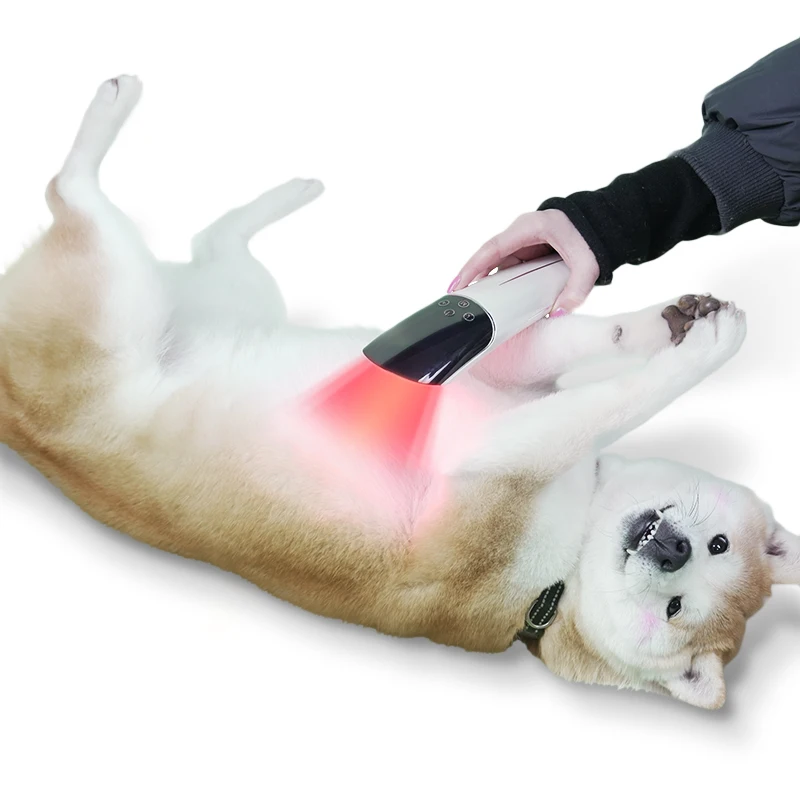 new handy red light therapy device horse dog animal pain relief anti-inflammation wounds recovery equipment