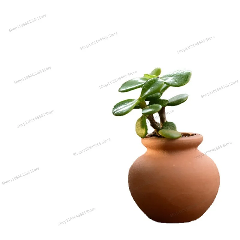 Mini Pocket Thumb Succulent Nursery Leaf Insert Ceramic Pot Succulent Pot Round Pot