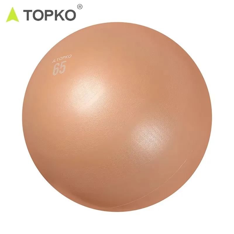 

YTYIN TOPKO Exercise Ball Chair For & Physical Workout Fitness Home Gym Equipment 65cm Balance Ball PVC Yoga B