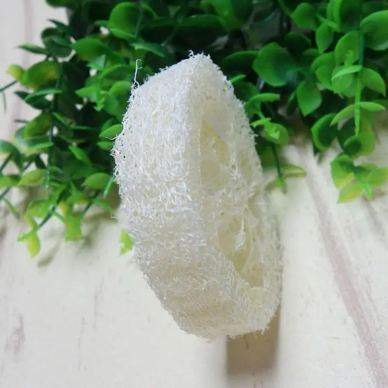 Natural Loofah Luffa Loofa Slices 10pcs Luffa Slices Cuts Loofah Kit Organic Soap Making Products Facial Soap Holder And DIY