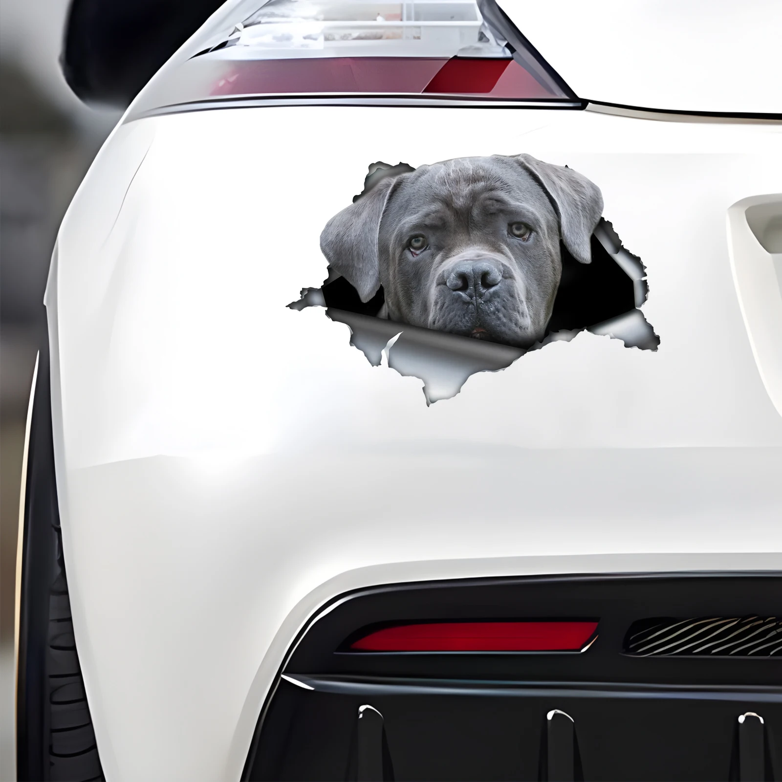 DK516# Gray Cane Corso Car Stickers Scratch Blocking Self-Adhesive Waterproof Decal, Used for Car, Laptop, Motorcycle, Van, RV