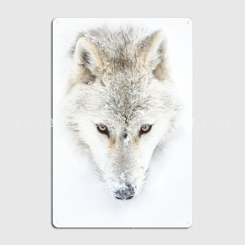 Arctic Wolf Closeup Poster Metal Plaque Wall Decor Cinema Garage Decoration Party Tin Sign Poster