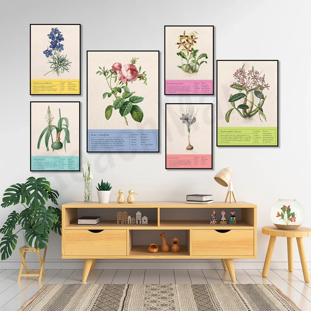 Vintage botanical poster, onion, delphinium, crocus, august lily, water lily, rose, tiger orchid botanical floral wall decoratio