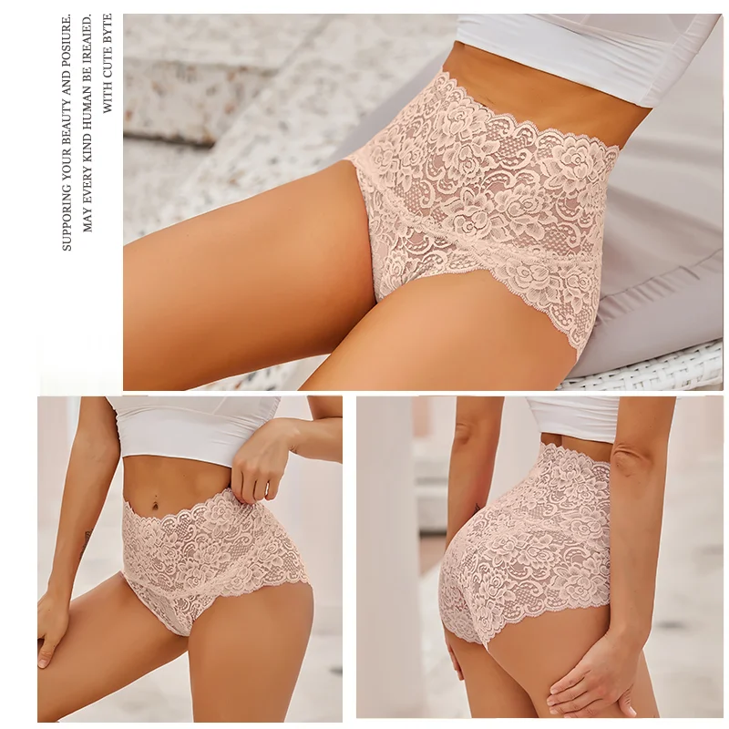 Sexy High-Rise Lace Briefs Comfortable Stretchy Semi Sheer French-Cut Panties Women's Underwear Breathable Lingerie S-2XL