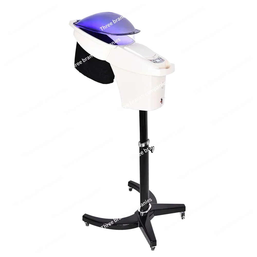 Big Micromist Professional Ultrasonic Micro Mist Ozone Hair Salon Steamer with Stand&Hair SPA Standing O3 Hair Steamer